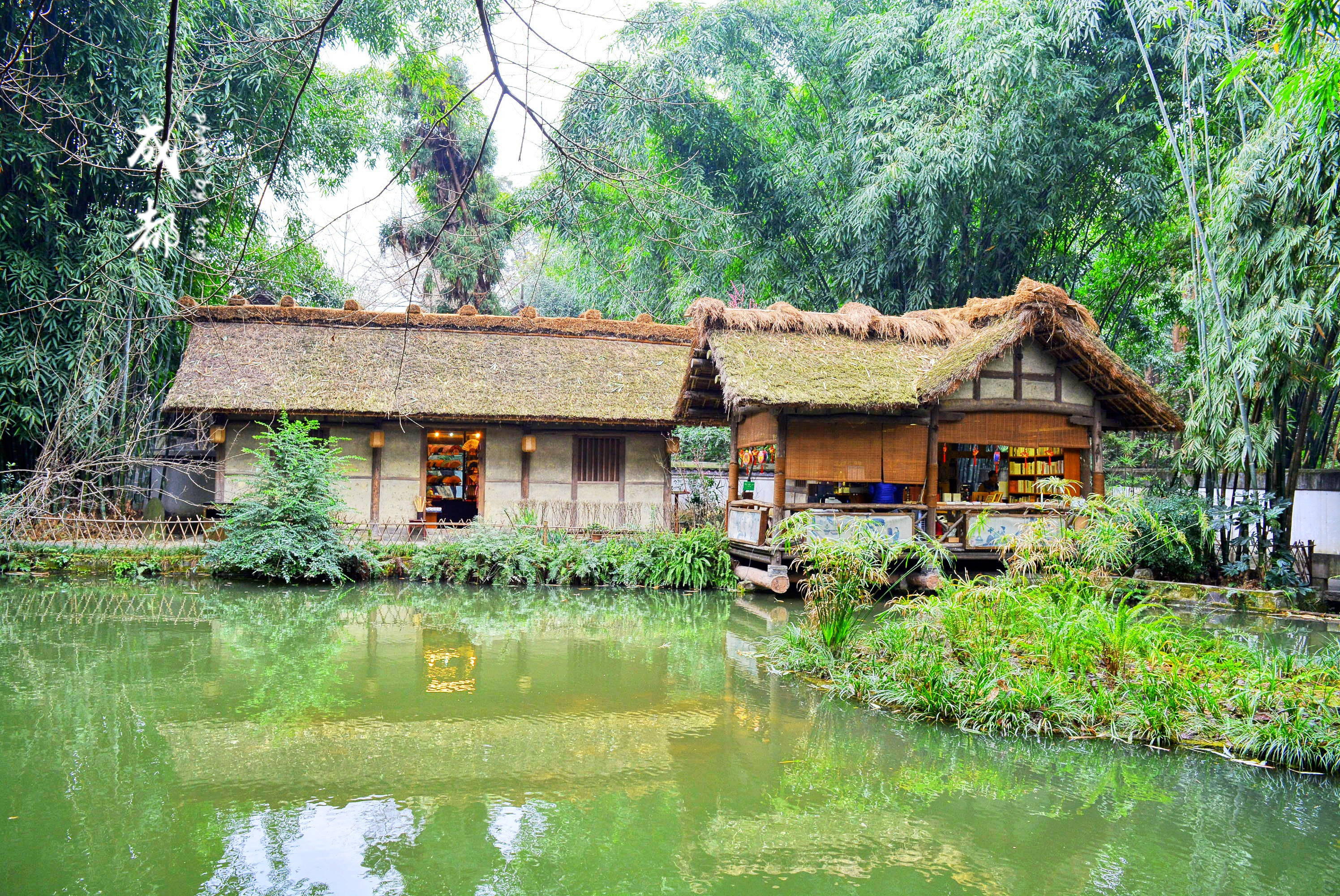 100b1a0000018g5td51DB