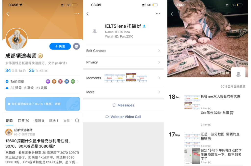 领途雅思