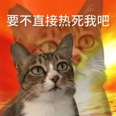 image 328