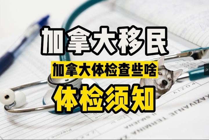 2026加拿大移民体检全流程终极指南(下):流程详解、体检项目、常见问题与特殊情况应对 12 2026加拿大移民体检全流程终极指南(下):流程详解、体检项目、常见问题与特殊情况应对