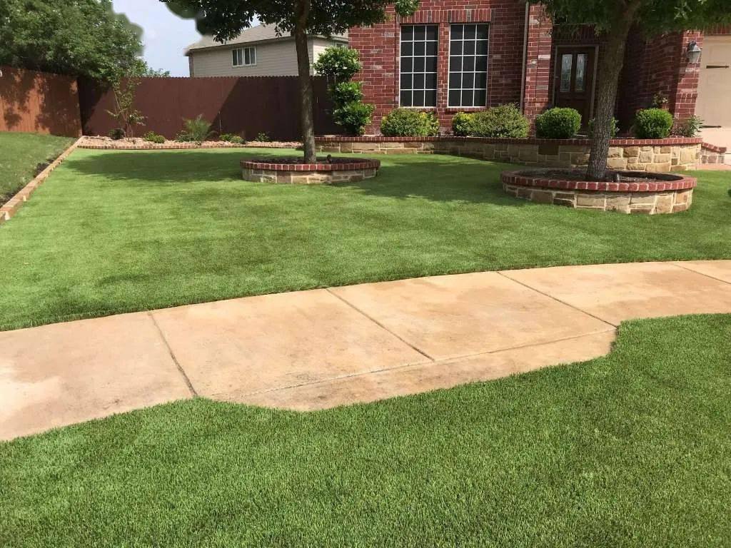 后院草坪怎么养护：保养全攻略｜北美新手也能养出不发黄、不长杂草的完美草坪