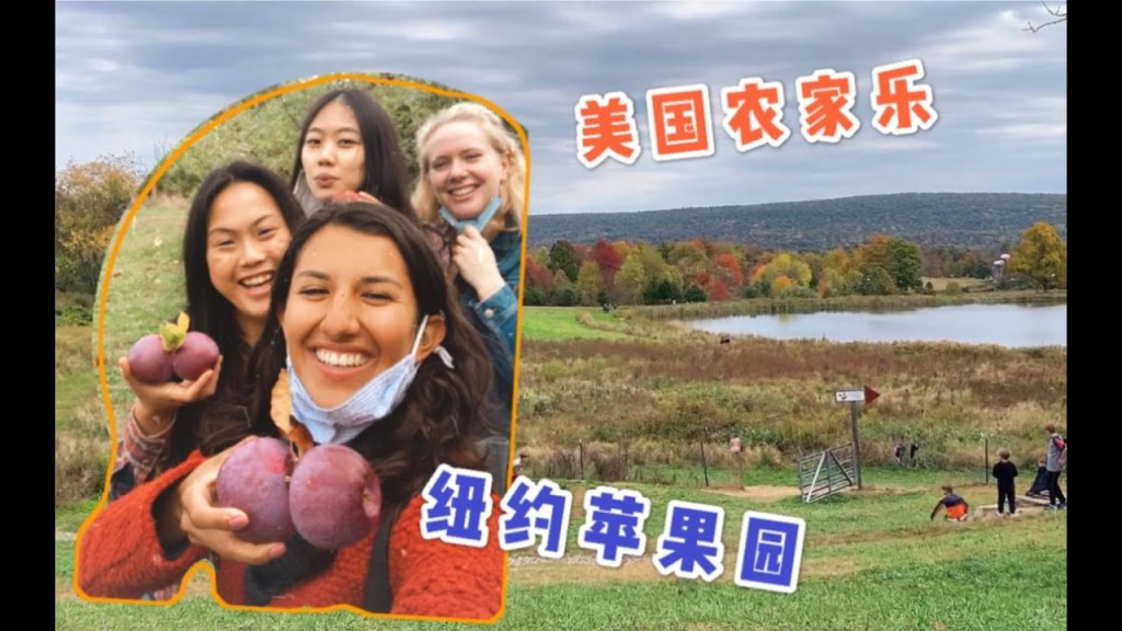 纽约周边有果园吗？在纽约哪里可以摘苹果：纽约周边十大果园全攻略