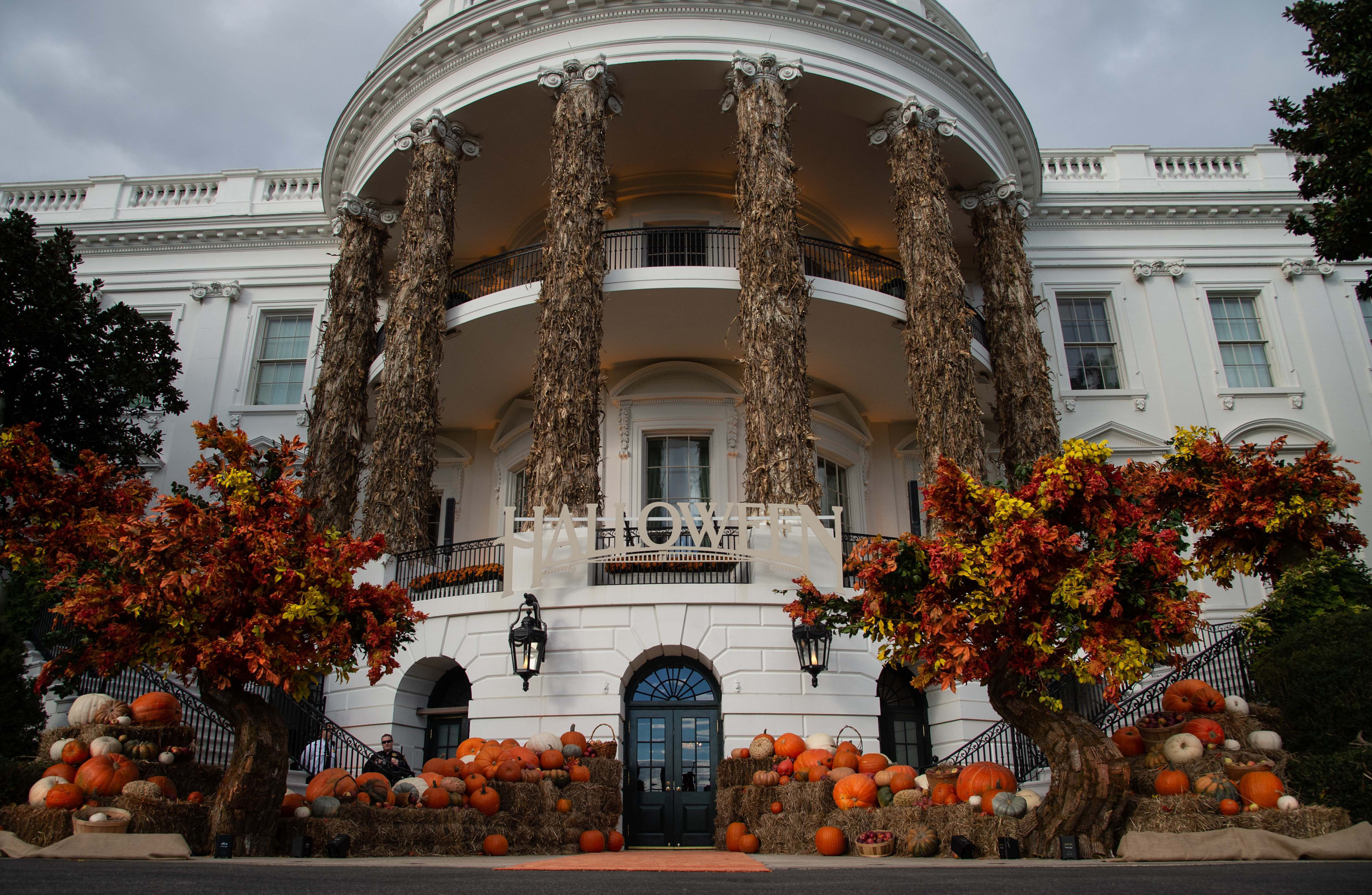 🎃 美国华盛顿DC万圣节攻略2025：大人小孩都能玩疯的活动大合集！👻