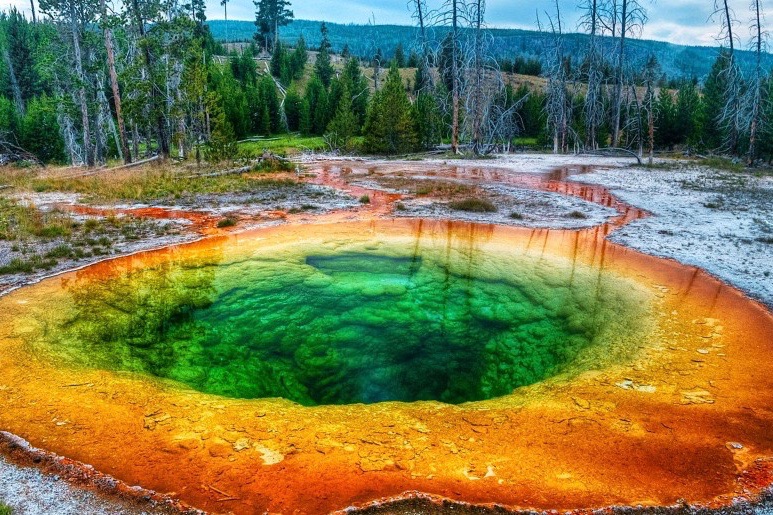Yellowstone National park.jpg4
