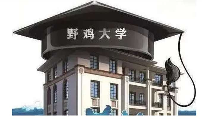美国野鸡大学科尔顿州立大学(Colton State University)”:一所并不存在的美国大学 7 image 142