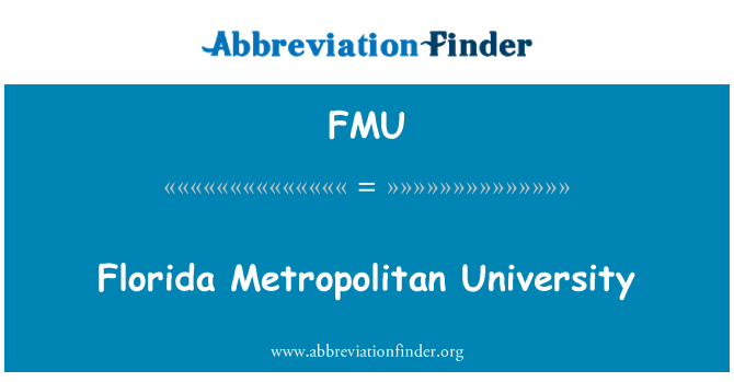 Florida Metropolitan University