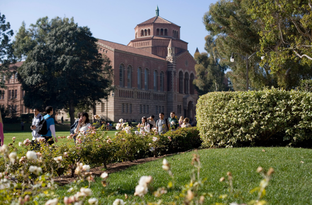 适合高学生的美国医学夏校有哪些？UCLA医学夏校项目：9天沉浸式医学探索