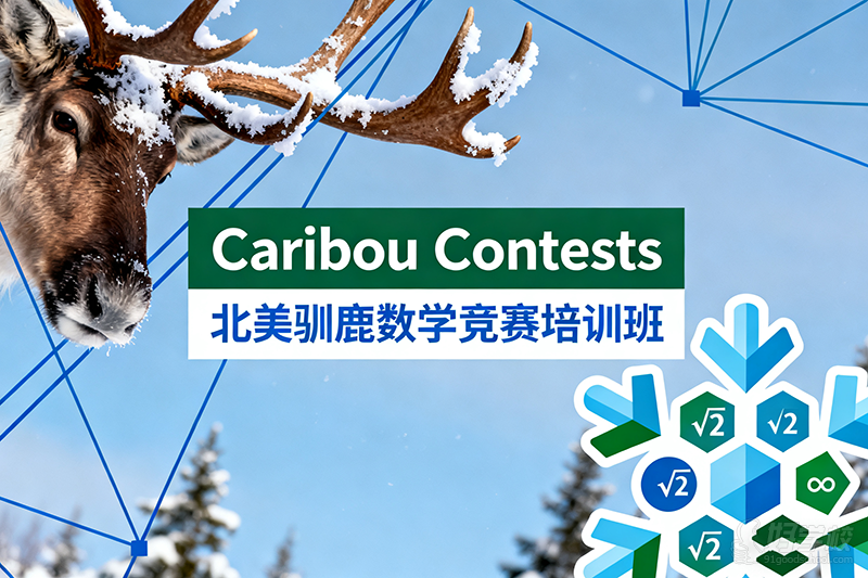 Caribou数学竞赛怎么报名?K12学生适合参加的数学竞赛:Caribou Contest数学竞赛 3 image 453
