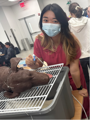 美国动物营养学证书:动物科学申请、UC Davis 动物营养学证书 8 image 230