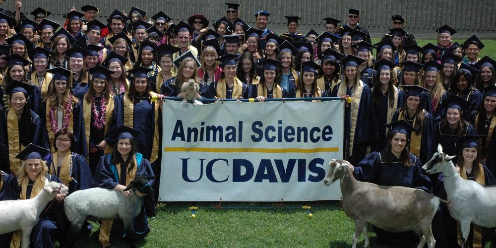 美国动物营养学证书:动物科学申请、UC Davis 动物营养学证书 2 美国动物营养学证书:动物科学申请、UC Davis 动物营养学证书