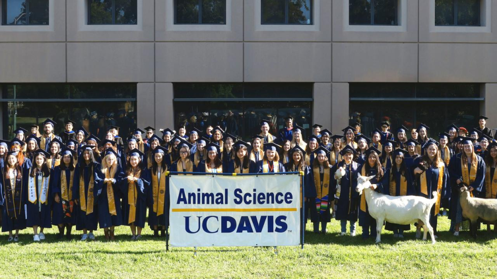 美国动物营养学证书:动物科学申请、UC Davis 动物营养学证书 4 image 234