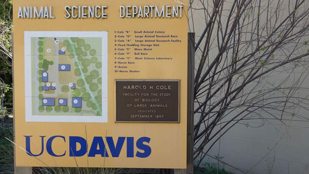 美国动物营养学证书:动物科学申请、UC Davis 动物营养学证书 5 image 235