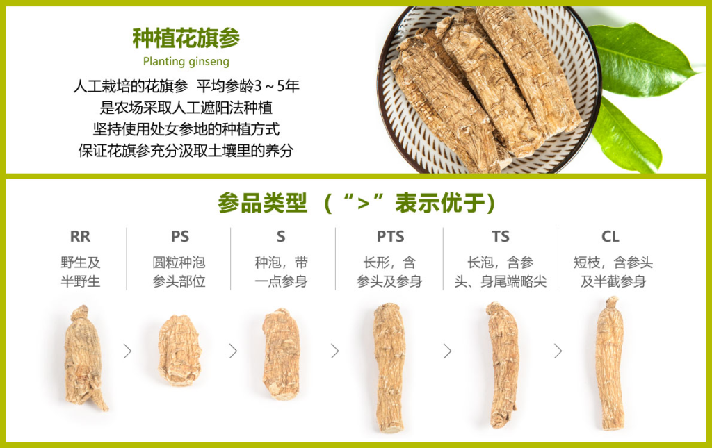 2026花旗参功效有哪些?西洋参怎么吃、怎么选、哪些人不适合一次讲清楚 3 image 168