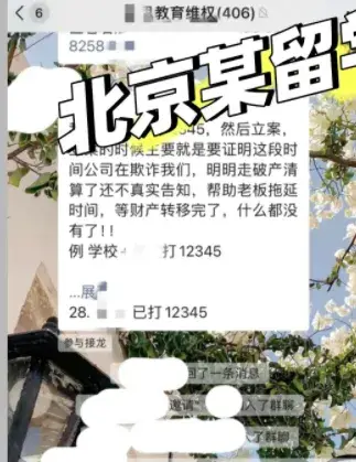 微思留学被曝破产停摆:前一天还在发布录取喜报,600余名学生的申请季谁来负责? 4 image 251