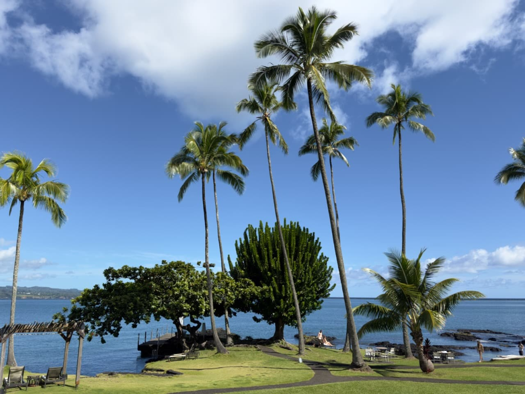 2026夏威夷可爱岛旅游攻略:第一次去Kauai怎么玩?景点、路线、住宿、交通一次看懂 4 image 228