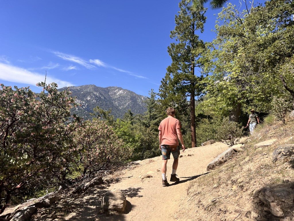 Idyllwild