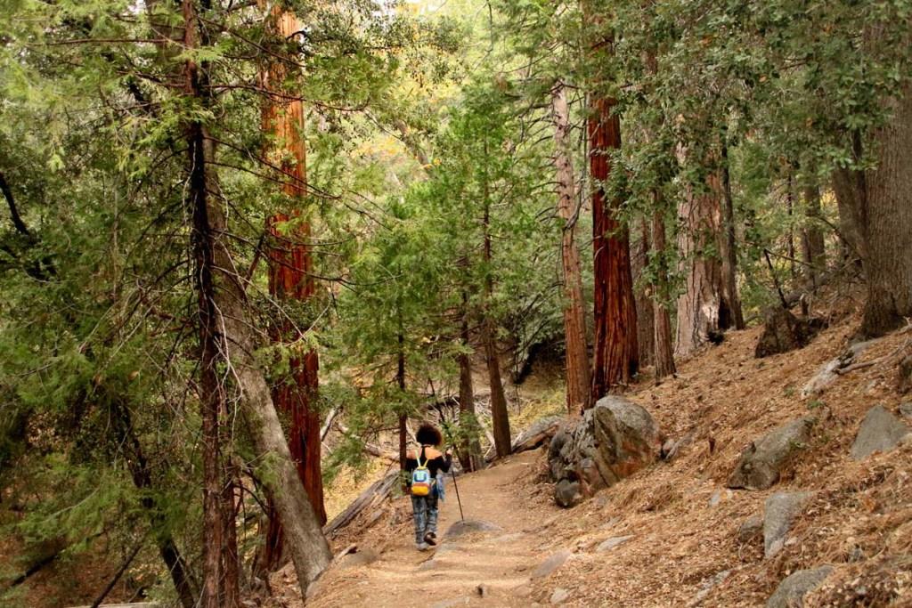 Idyllwild