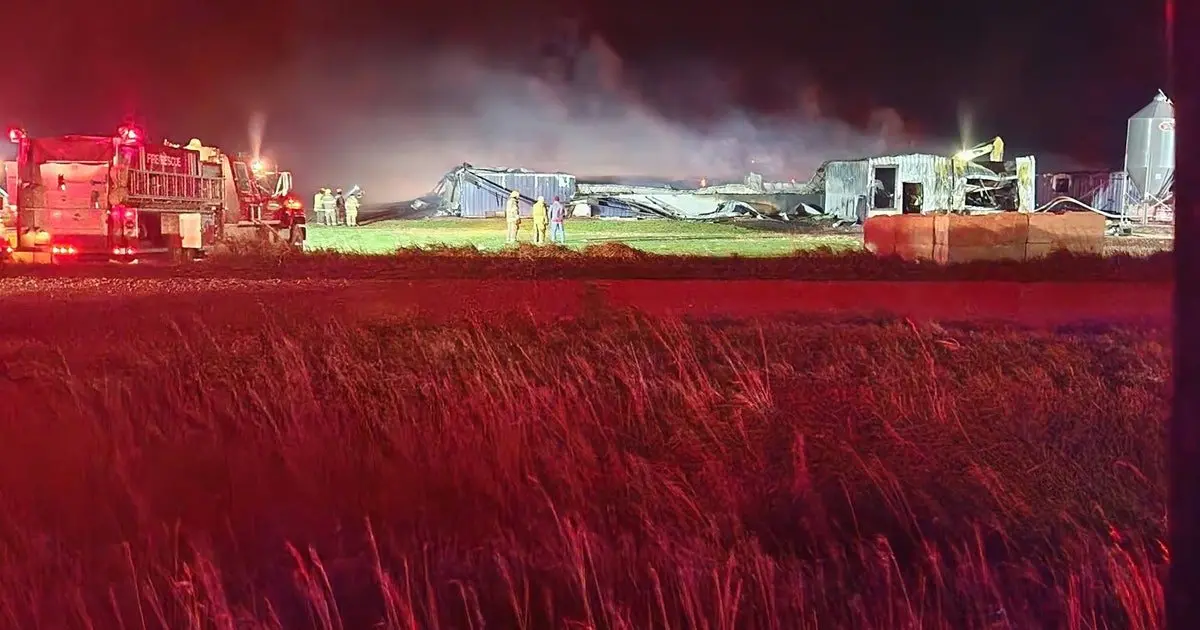 爱荷华州大型猪舍深夜失火：约2400头猪死亡，燃烧碎屑一度威胁附近玉米田