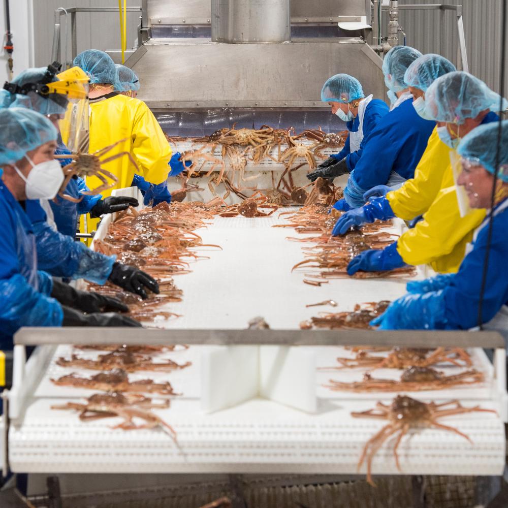 美国推出全新海鲜产地标签:超市看到“U.S. Caught Seafood”,到底代表什么? 4 Q9dlk6FQrVmUdX3eJmtsYvBgsM2XQWKo0dMTTf8M8LGR5GNkhZSjwY0EtB6vpE6rHpNf6GUm4F 9i0QBvXcpeQVrpuBM1DIDWW1XdhowG0ezmM9v4NiCWGBBuFjMd4Rq1IIzAyYeU3rgSK1xofO37c1FJuRChp5ejz lMhiBJXllfGWldXtuJreOhopVMnhg