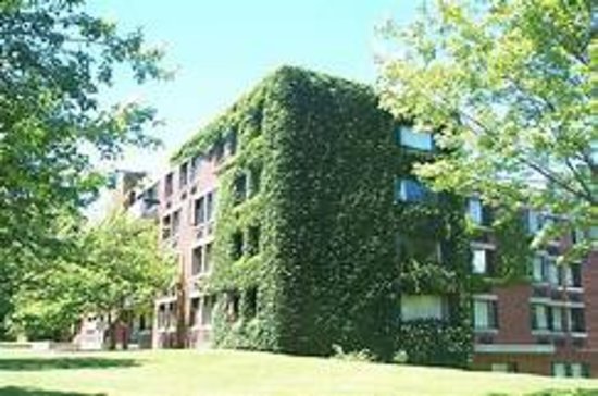 美国知名文理学院Hampshire College宣布关闭:招生危机与财务压力击穿小型私立大学 2 学院