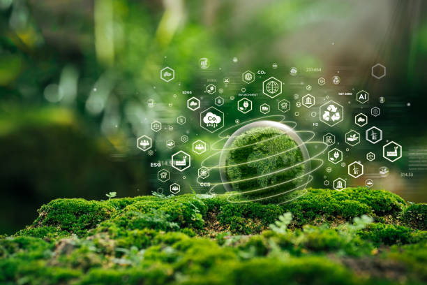 istockphoto 2129400358 612x612 1